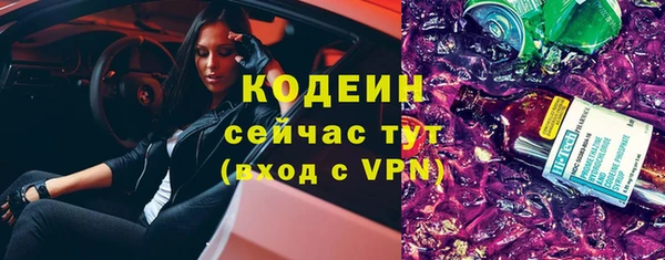 стафф Касимов